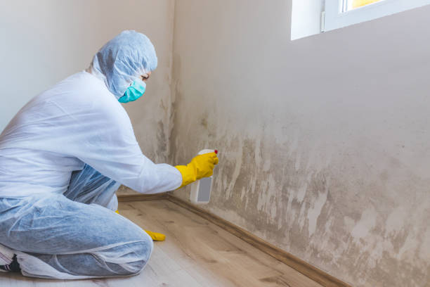 Licensed Mold Remediation service in Haltom City, TX - 24 Hour Mold Removal